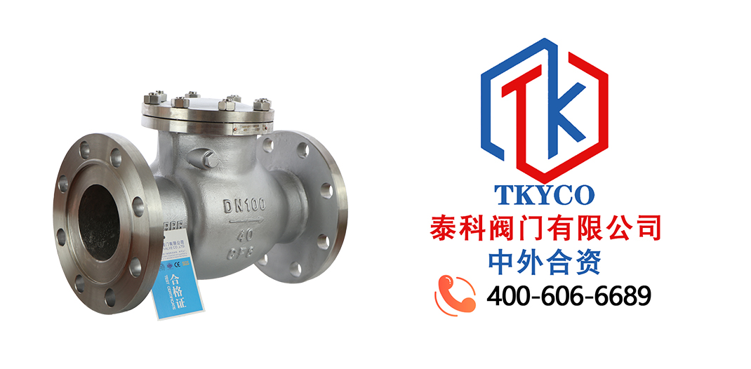 泰科閥門有限公司旋啟式止回閥的工作原理！